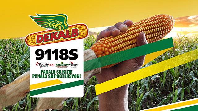 DEKALB Story DEKALB Story