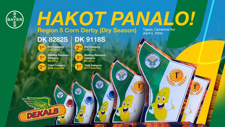 DEKALB® hybrids sweep regional derby in Bicol, takes home championship in multiple categories