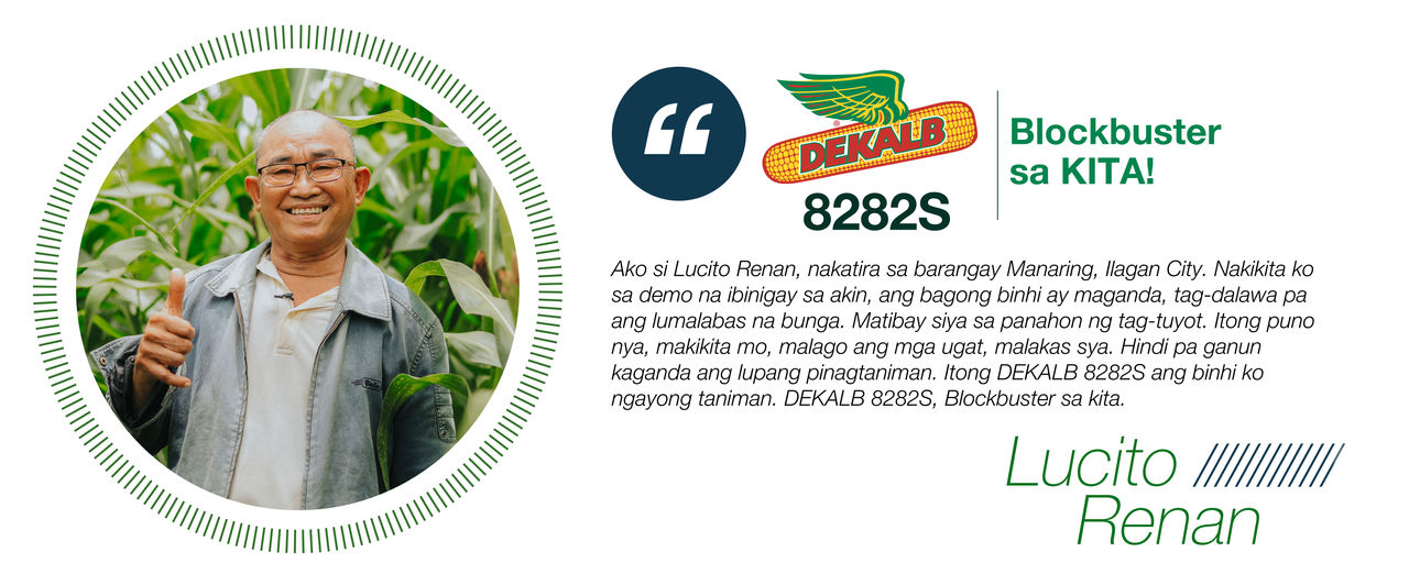 DEKALB 8282S