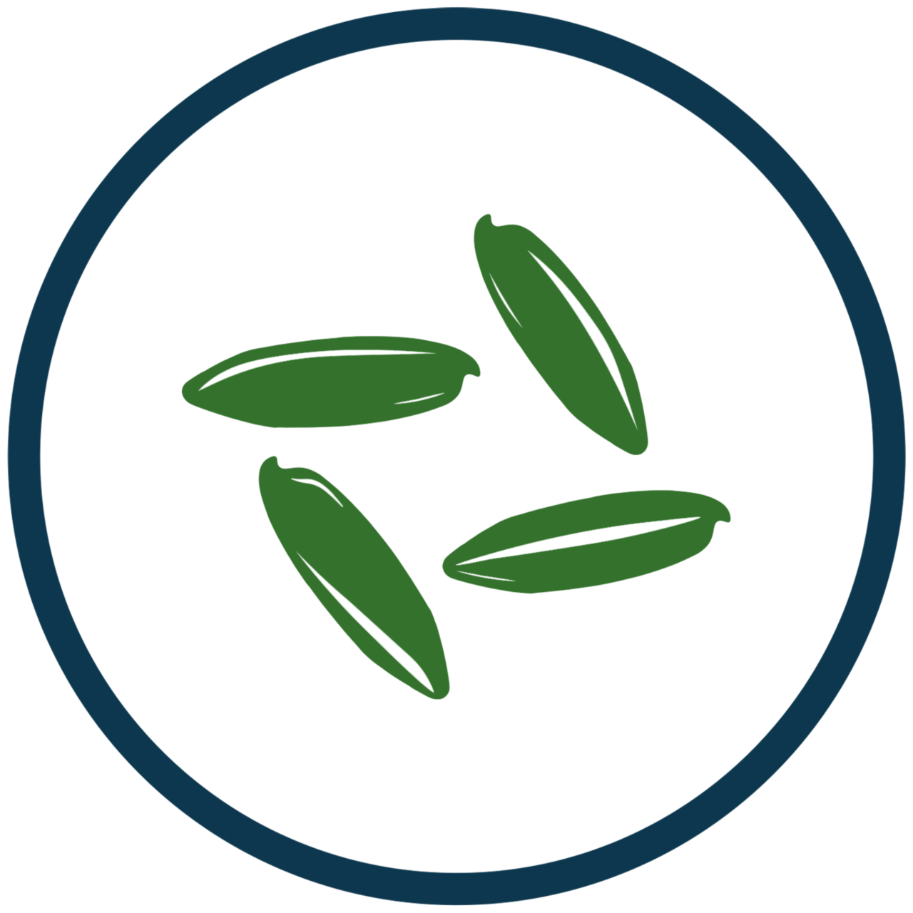 ARIZE® Rice Hybrid