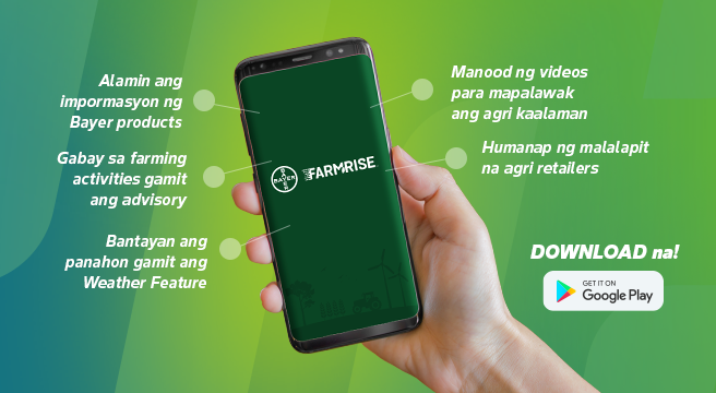 hand holding a phone showing FarmRise logo