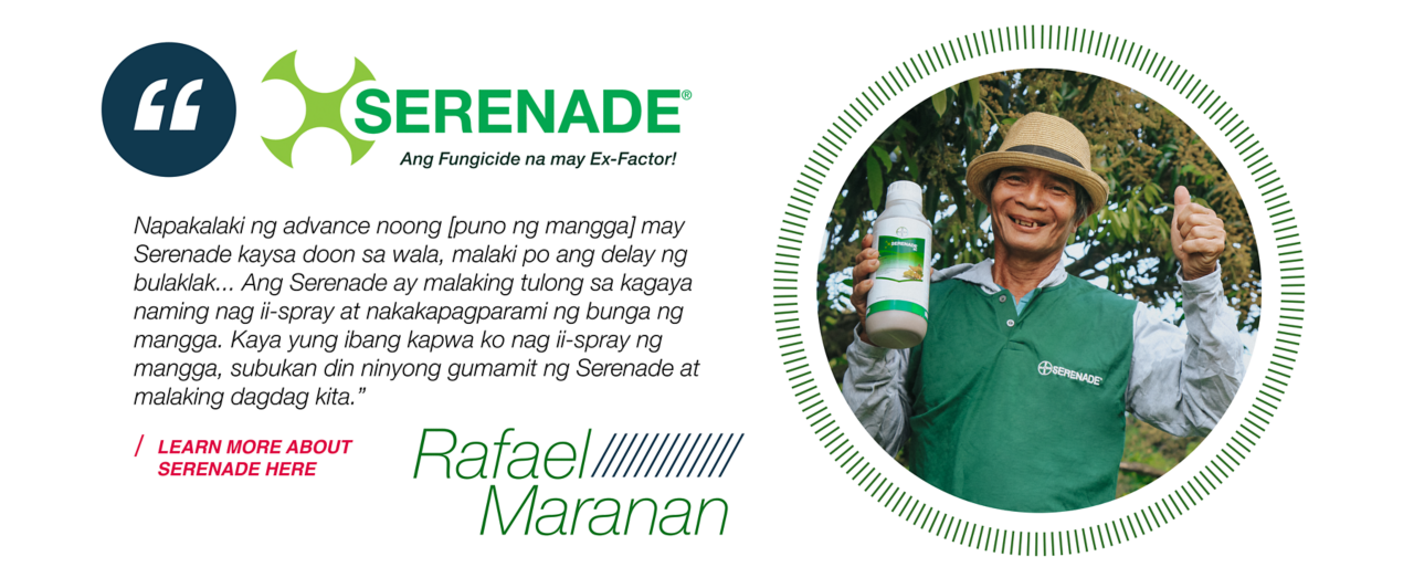 Serenade